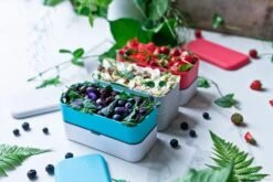 Monbento MB Original Bento-Box, Coton -Küchenbedarf Laden 36475735192 05339b8037 neu l