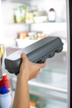 Koziol Eierbox In Grau -Küchenbedarf Laden 7179 EGGS TO GO 701 fridge 4