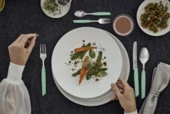 Victorinox Swiss Modern Besteck-Set Mit Tomatenmessern, 24-teilig, Minzgrün -Küchenbedarf Laden CUT 6 9096 11W41 24 G 1