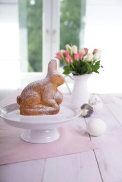 Dr. Oetker Vollbackform Hase -Küchenbedarf Laden RECIPE 1870 0