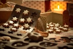 Lurch Flexiform Zimtstern -Küchenbedarf Laden RS1990 Lurch 65020 ZimtsternMU neu l