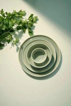 ASA Schale Saisons Agave, 15 Cm -Küchenbedarf Laden Saisons Agave Tabletop Desserteller Essteller Schalen 1