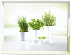Emsa Tablett Classic Herbs